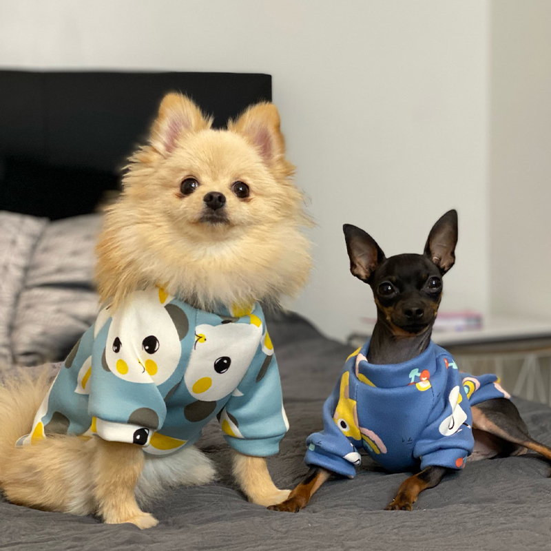 Xs Vestiti per cani per cani d - Winter Clothing For Boys recensione e prezzo