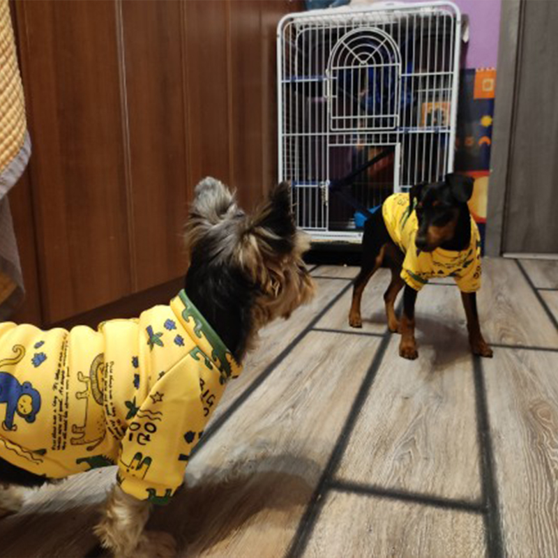 Xs Vestiti per cani per cani d - Winter Clothing For Boys recensione e prezzo